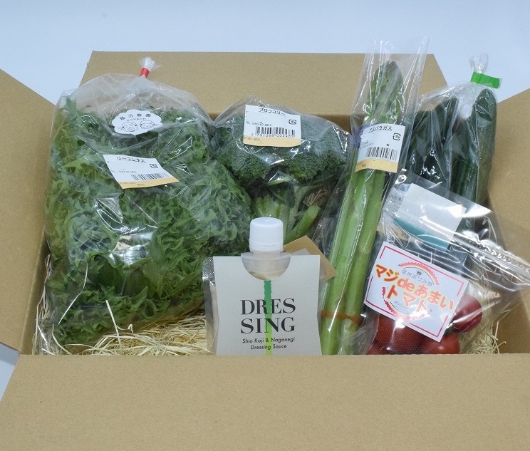 食育ソムリエが選ぶ旬のサラダＢＯＸ（小）