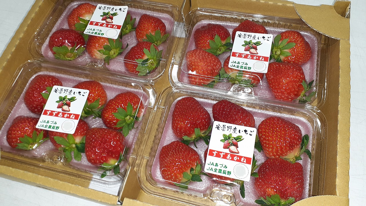 夏秋いちご　フルーツパック　４Ｐ（１Ｐ５～６玉）