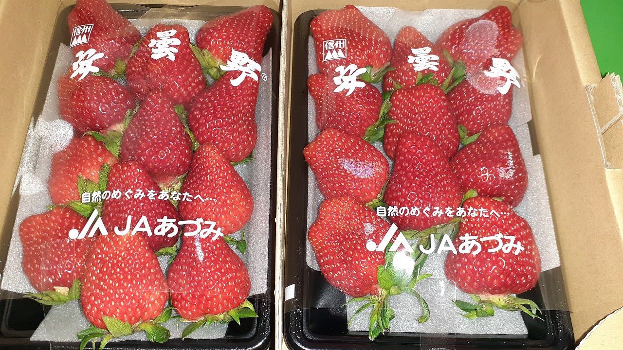 夏秋いちご　デラックスパック　２Ｐ（１Ｐ１１～１２玉）