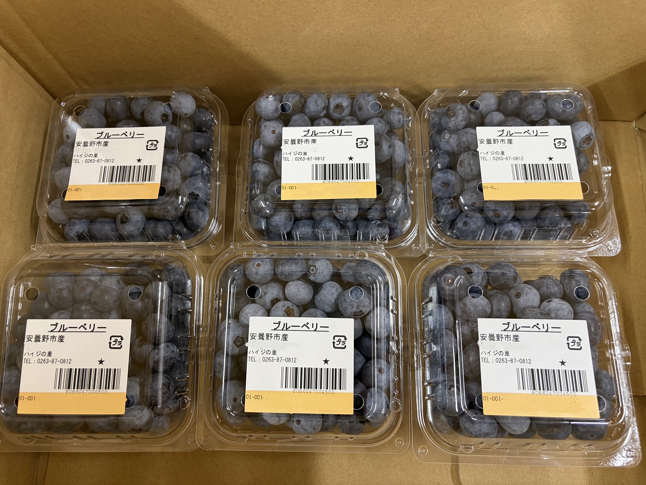 ブルーベリー　１８０ｇ×６Ｐ