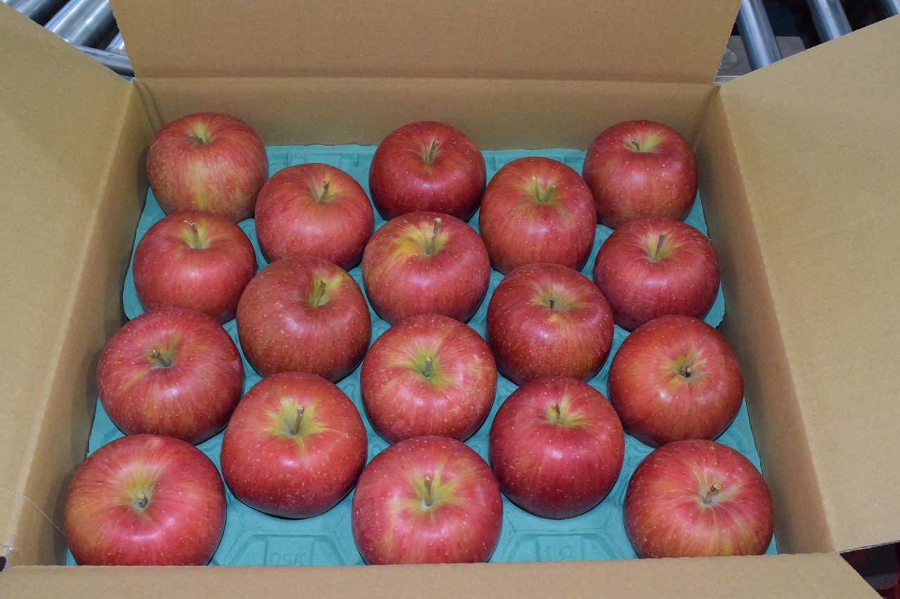 【贈答用】安曇野産りんご「シナノスイート」５ｋｇ（１８玉）