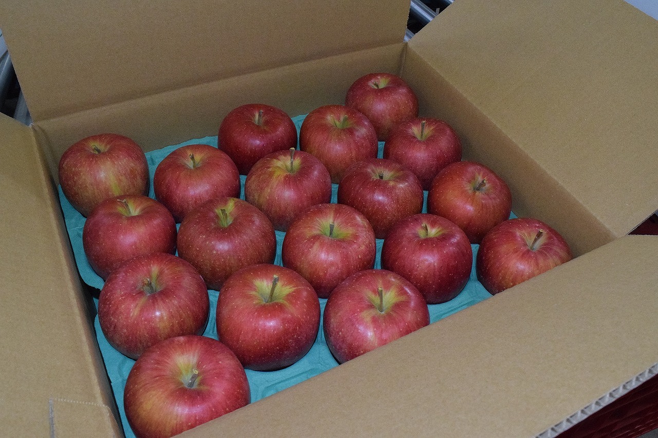 【贈答用】安曇野産りんご「シナノスイート」１０ｋｇ（３６玉）