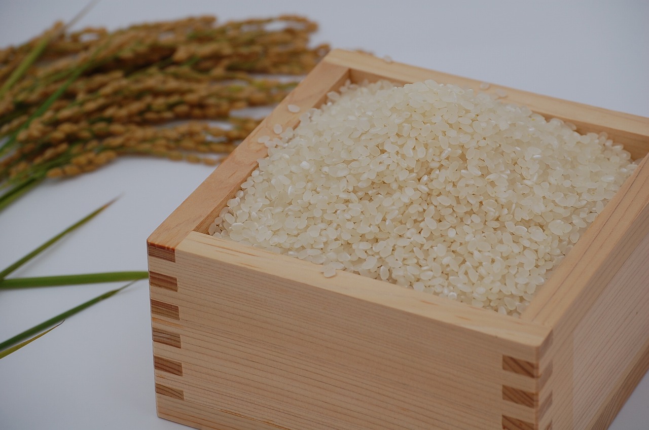 安曇野産コシヒカリ（白米）約５ｋｇ　令和６年産